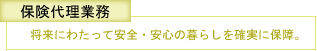 保険代理業務 将来にわたって安全・安心の暮らしを確実に保障。
