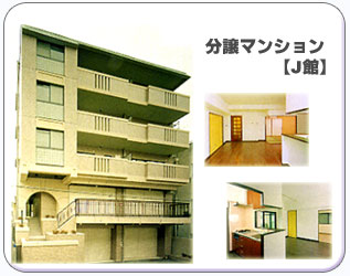 �����}���V�����yJ�فz